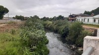 07/04/2020 - Vereador Nor Boeno solicita limpeza nas margens do Arroio Pampa
