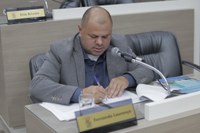 07/06/2019 - Fernando Lourenço solicita recolhimento de galhos no bairro Canudos