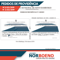 07/06/2019 - Vereador Nor Boeno encaminha 14 pedidos de providências nesta semana