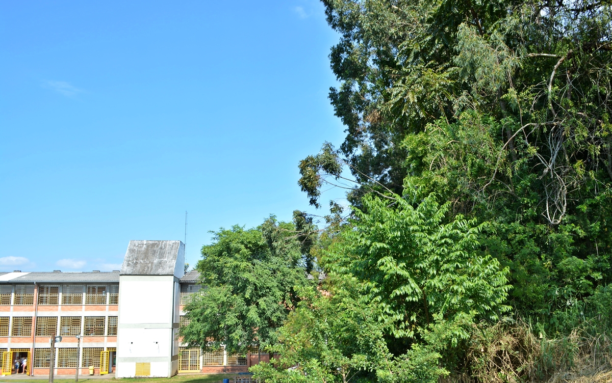 08/04/2019 – Nor Boeno solicita limpeza e poda de árvores na escola Maurício Sirotsky Sobrinho no bairro Santo Afonso 