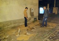 08/05/2019 - Nor Boeno visita morador e recebe demanda de recomposição do passeio público