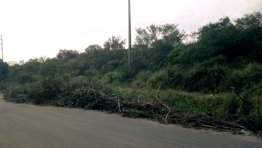 08/06/2018 - Nor Boeno solicita recolhimento de galhos e entulhos na rua Eldorado