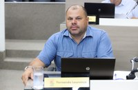 08/06/2020 - Fernando Lourenço requisita recolhimento de galhos na rua Marcílio Dias