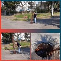 08/08/2019 - Vereador Nor Boeno solicita conserto de infiltração próximo a praça no bairro Canudos