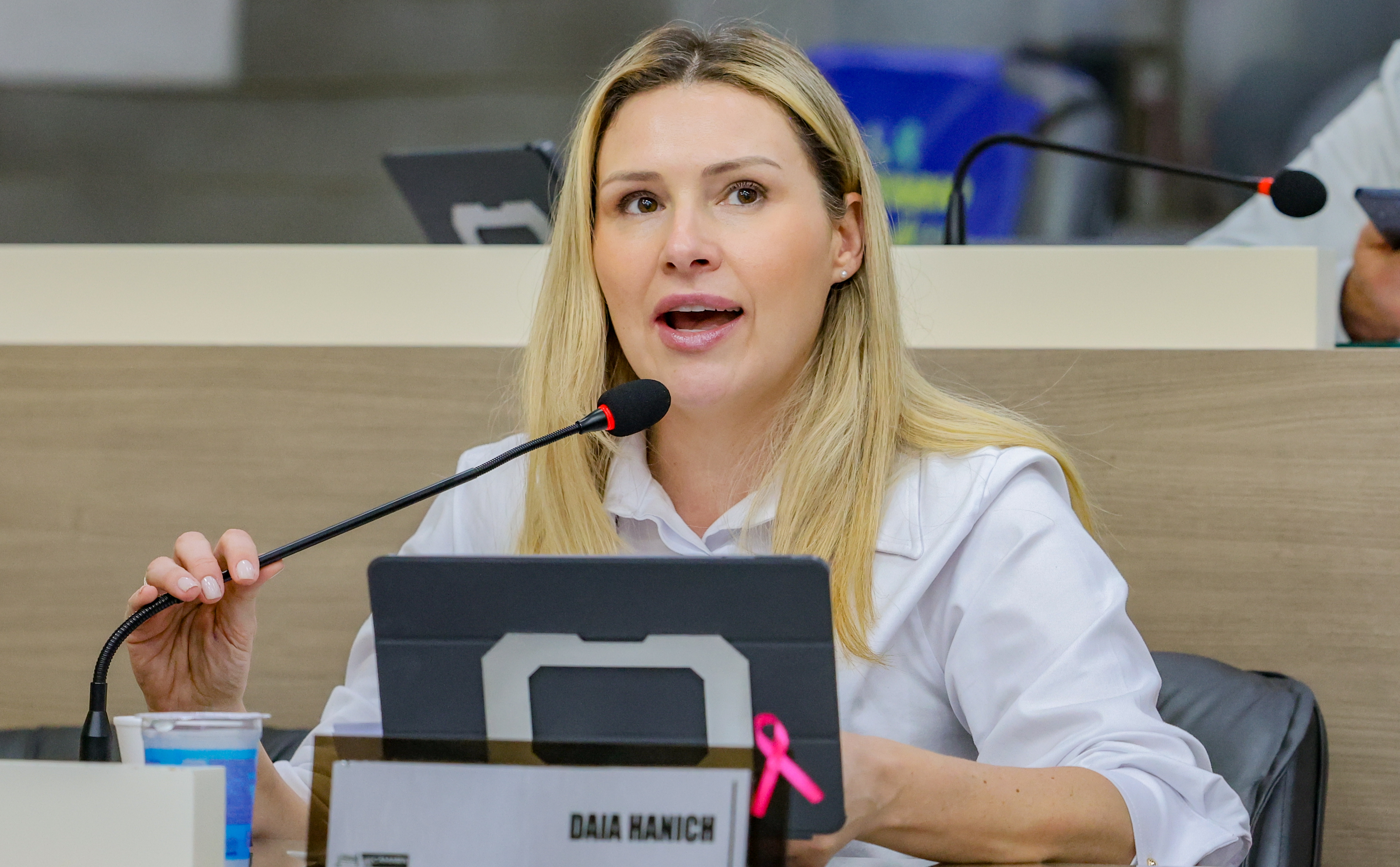 08/10/2026 - Vereadora Daia Hanich pede melhorias em diferentes bairros e solicita informações ao Executivo