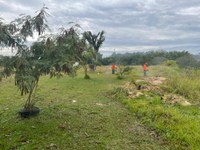 09/06/2021 – Prefeitura realiza limpeza no entorno do Campo do Botafogo