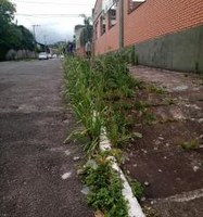 1/12/2020 - Vereador Nor Boeno requer capina e roçada de meio-fio em ruas do bairro São Jorge