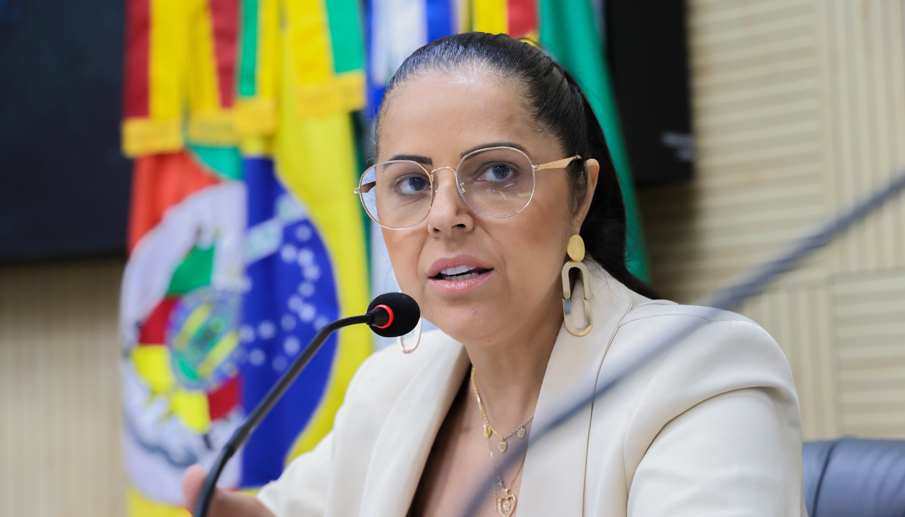 11/11/2025 - Deza sugere criação de Programa de Educação para causadores de maus-tratos a animais