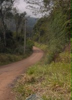 14/07/2026 - Gabinete da vereadora Deza Guerreiro cobra monitoramento na estrada Jacó Plentz