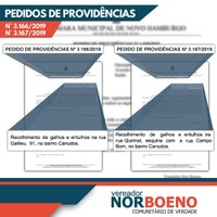 14/08/2019 - Nor Boeno solicita recolhimento de galhos e entulhos em dois terrenos de Canudos