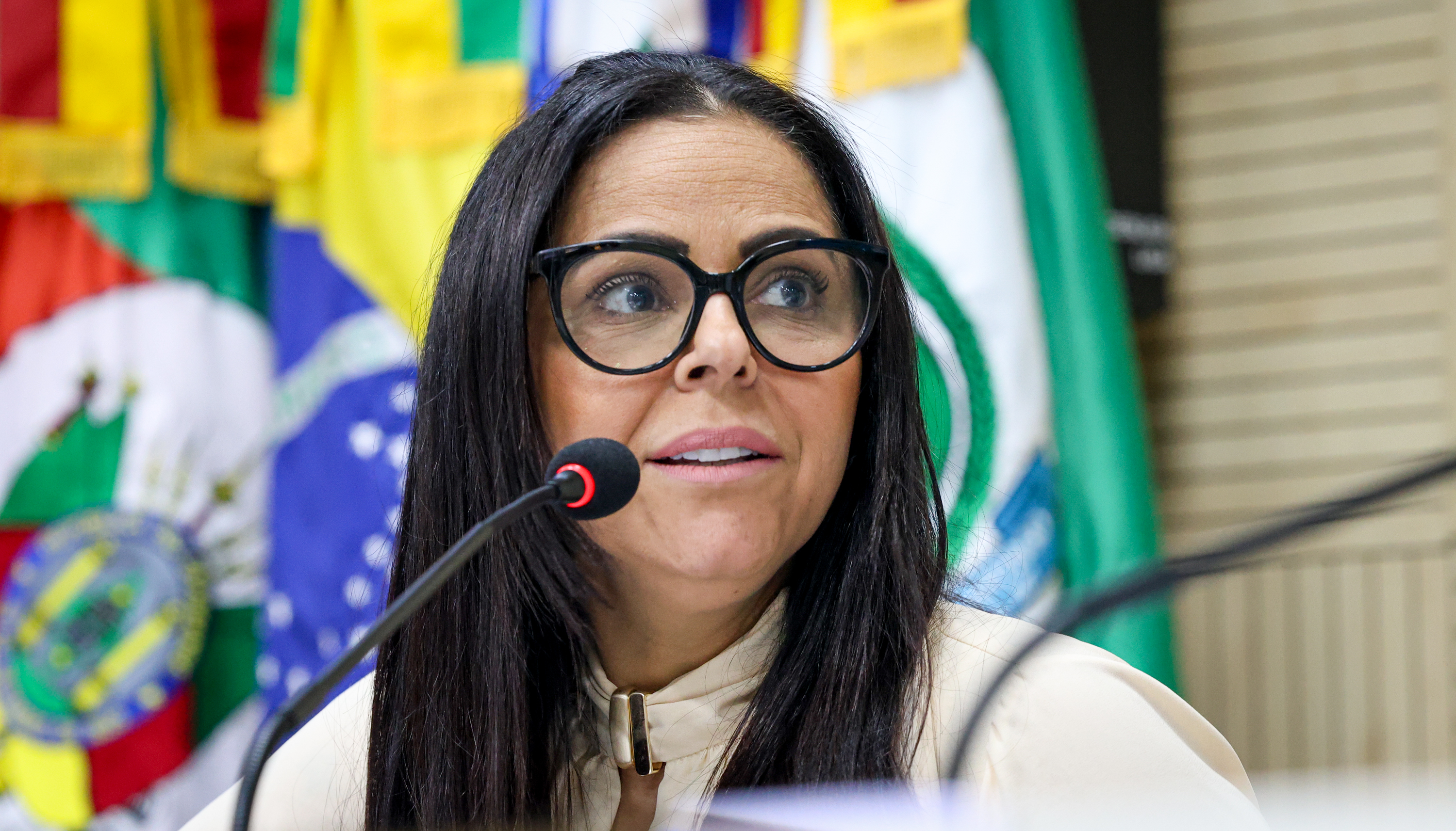 14/10/2025 - Escassez de fraldas geriátricas na farmácia comunitária motiva apelo de Deza Guerreiro ao Ministério da Saúde