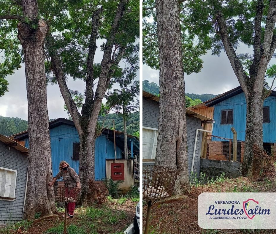 15/03/2022 - Vereadora Lourdes Valim fiscaliza local de Pedido de Providências solicitado pela comunidade da Vila Diehl