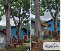 15/03/2022 - Vereadora Lourdes Valim fiscaliza local de Pedido de Providências solicitado pela comunidade da Vila Diehl