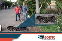 16/09/2019 - Conserto de infiltração solicitado por Nor Boeno é atendido na avenida Alcântara
