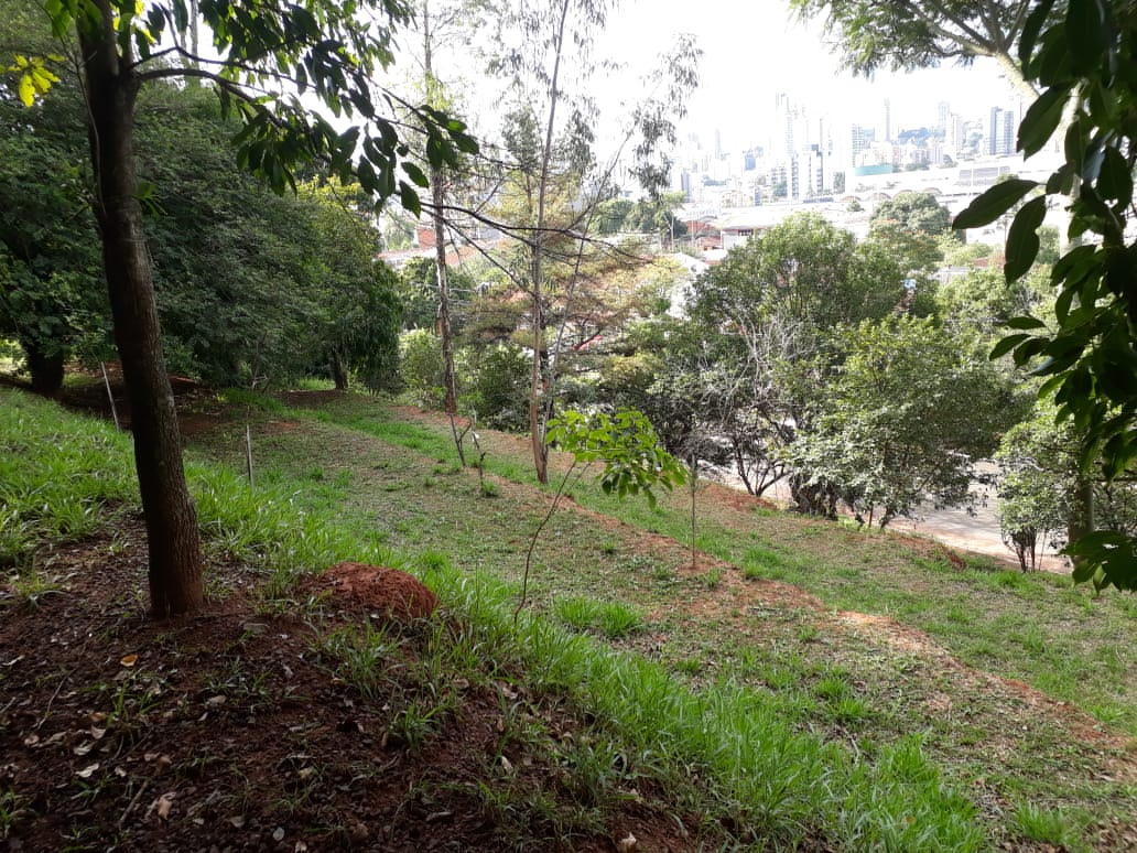 17/06/2020 - Sugestões de melhorias na praça Seno Feilstricher são encaminhadas pelo vereador Cristiano Coller