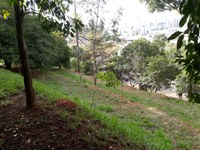 17/06/2020 - Sugestões de melhorias na praça Seno Feilstricher são encaminhadas pelo vereador Cristiano Coller