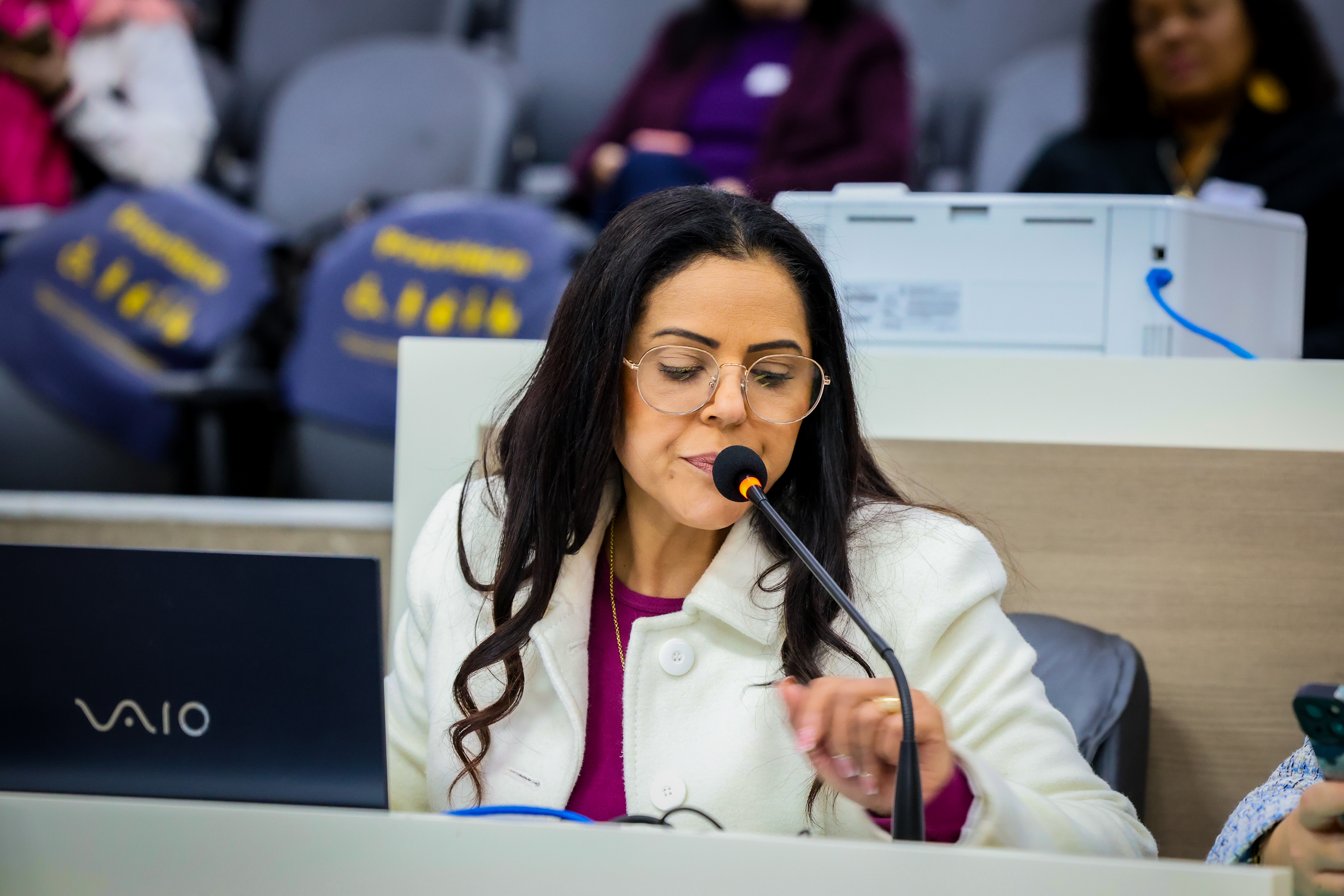 17/06/2025 - Vereadora Deza Guerreiro propõe criação do programa Ingresso Solidário