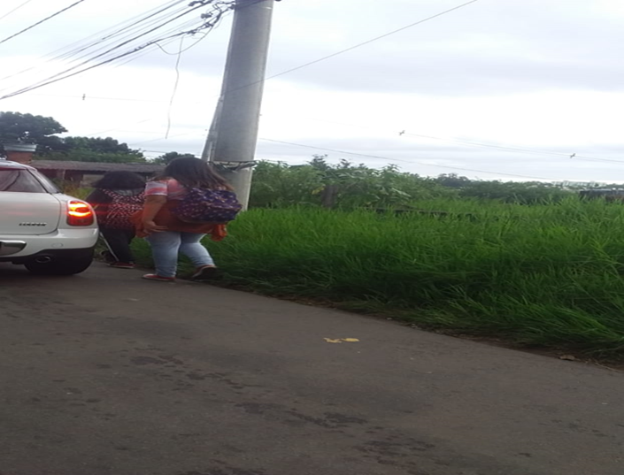 18/03/2022 -Vereador Nor Boeno reivindica  limpeza  e roçada de passeios públicos no bairro Canudos