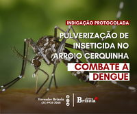 21/03/2022 - Vereador Brizola solicita pulverização de inseticida no combate à dengue 