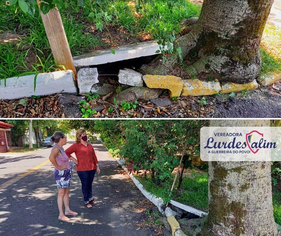 23/02/2022 - Lourdes Valim fiscaliza local de pedido de providências no Jardim Mauá