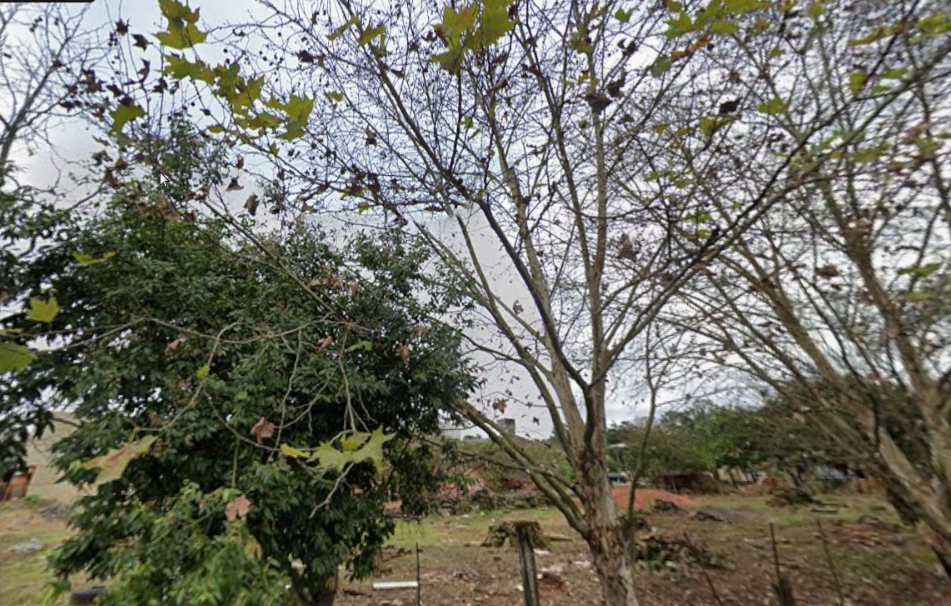 26/01/2026 - Vereadora Daia Hanich solicita estudo para implantação de praça no bairro Canudos