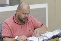 26/06/2019 - Fernando Lourenço solicita recolhimento de galhos na rua Londres 