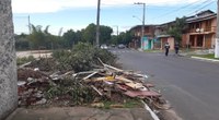27/05/2020 - Vereador Nor Boeno requer recolhimento de galhos e entulhos na rua Sevilha no bairro Canudos