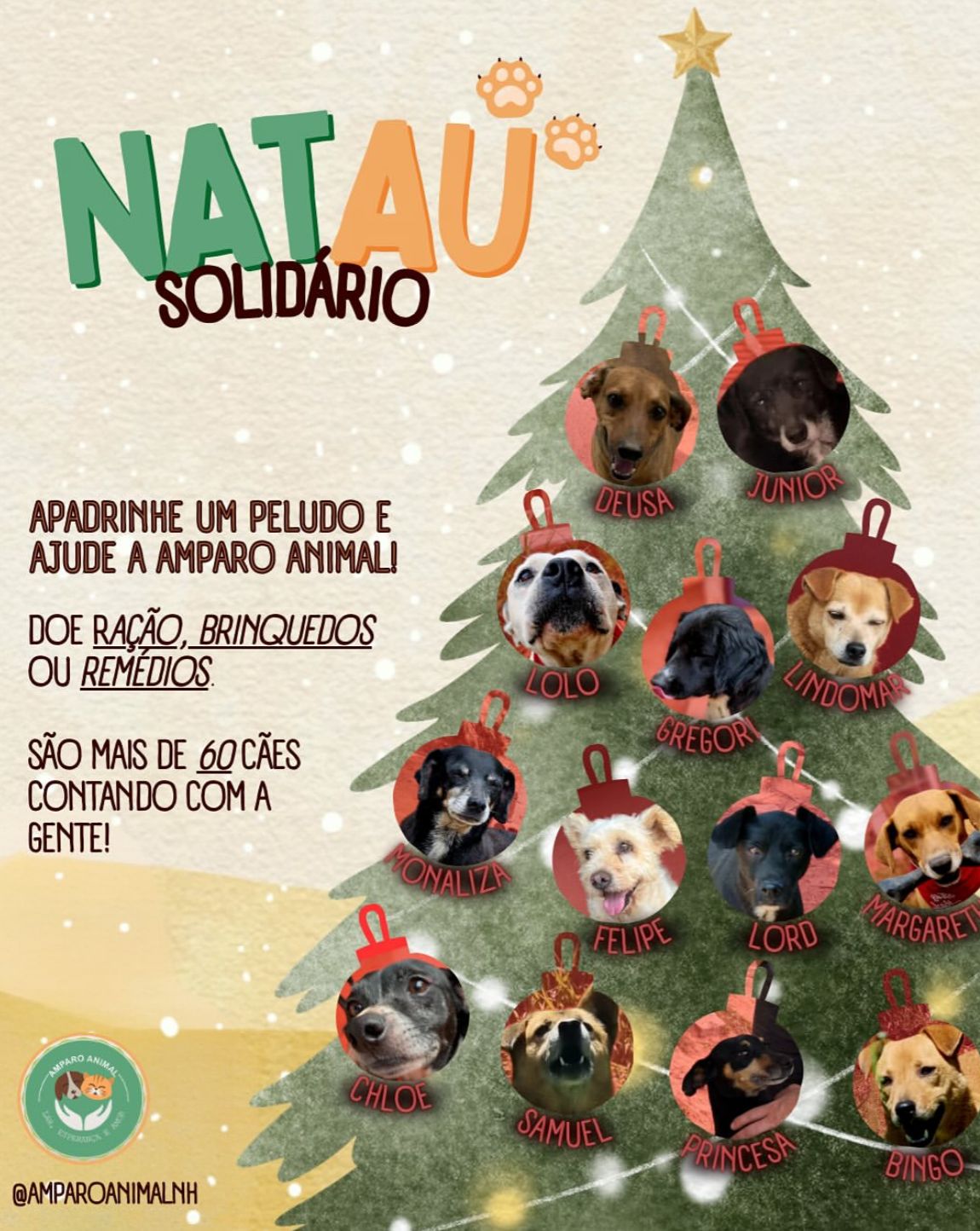 27/11/2025 - Deza Guerreiro promove campanha de natal para cães resgatados: "Natau Solidário"