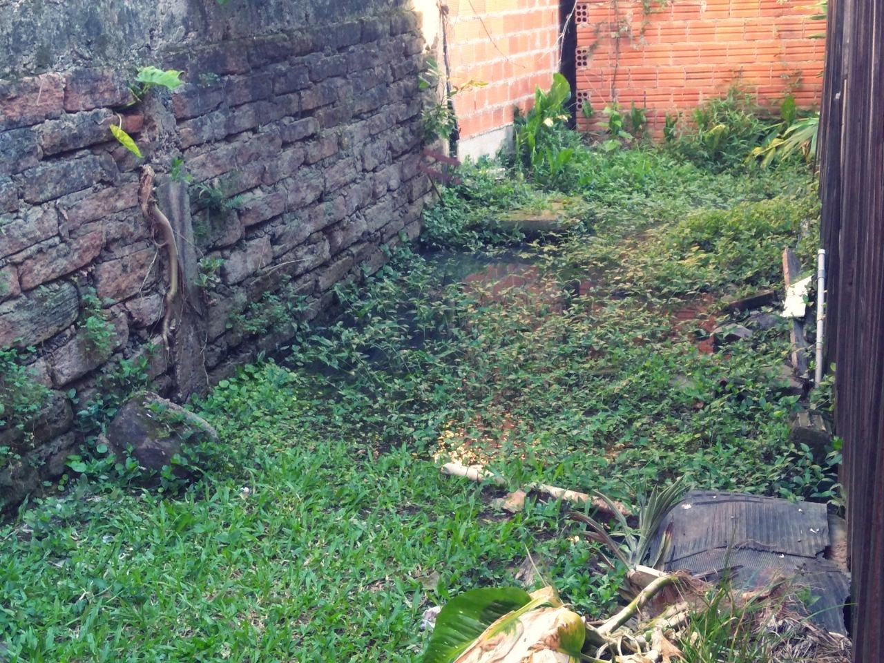 28/11/2017 - Gabinete: Vereador Nor Boeno solicita canalização de esgoto na rua Odon Cavalcante