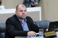 29/04/2020 - Fernando Lourenço pede recolhimento de galhos na rua Vereador Oscar Horn