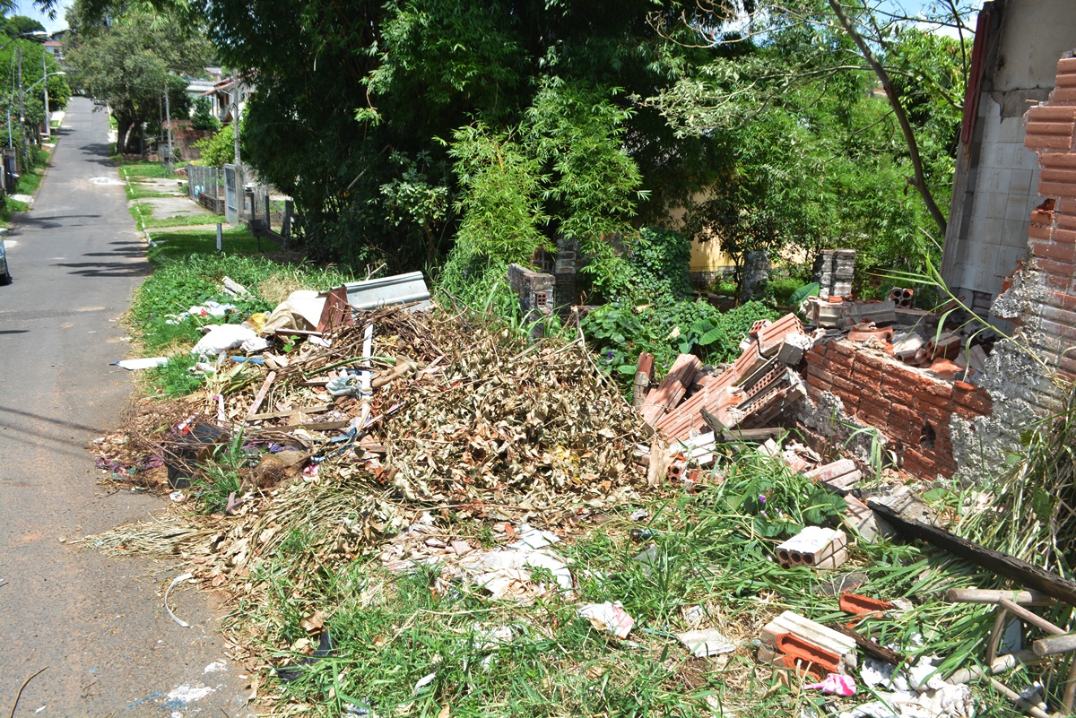 30/01/2020 - Gabinete do vereador Nor Boeno solicita limpeza de terreno baldio na rua Arthur Momberger