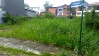 30/04/2018 - Vereador Nor Boeno pede providências à Prefeitura para terreno abandonado por proprietário