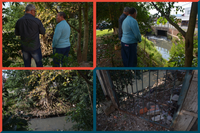 30/07/2019 - Vereador Nor Boeno solicita remoção de árvore às margens do arroio Pampa