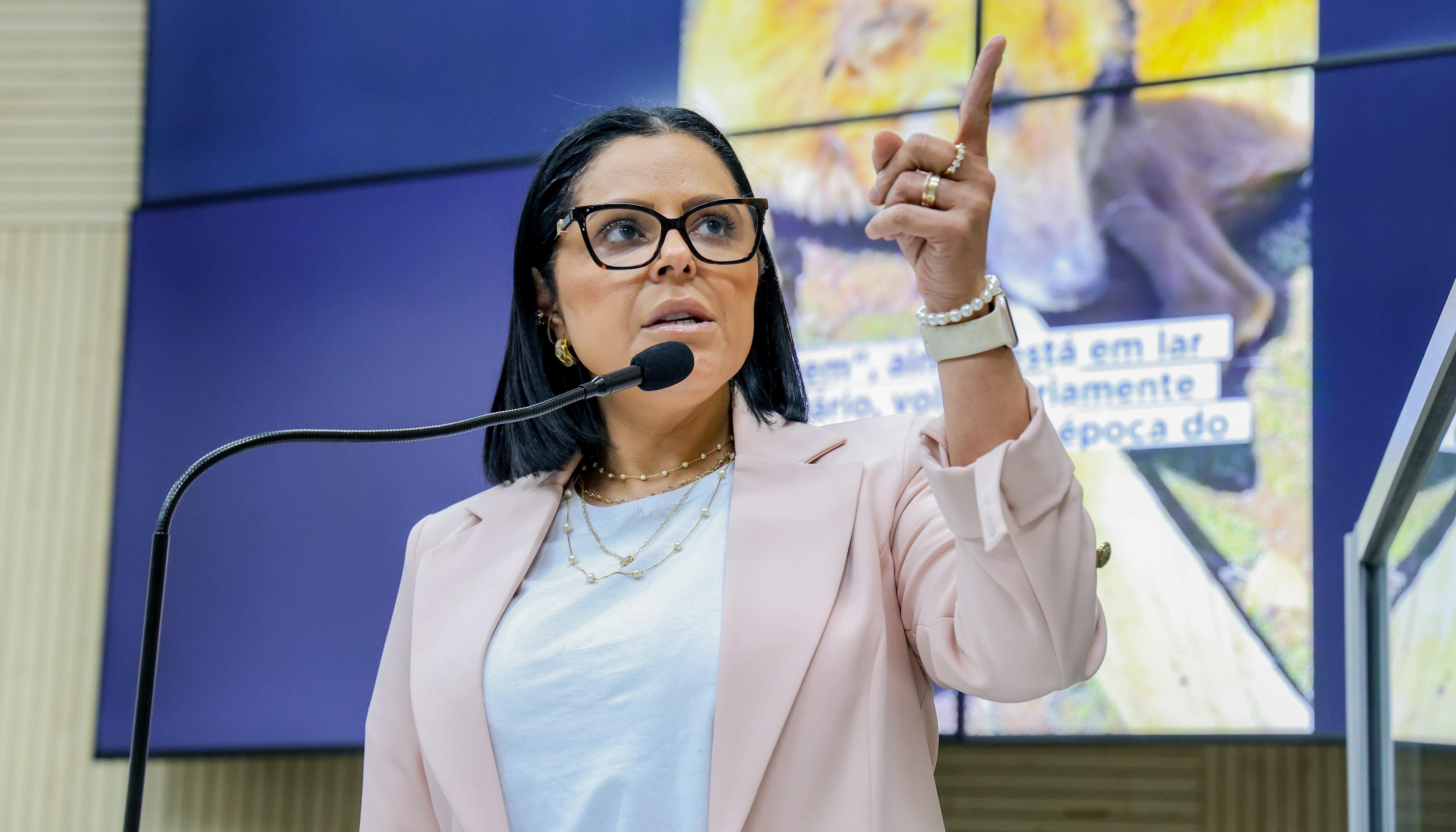 30/07/2026 - Aprovado projeto de lei que proíbe a guarda e a tutela de animais por pessoas condenadas por maus-tratos em Novo Hamburgo