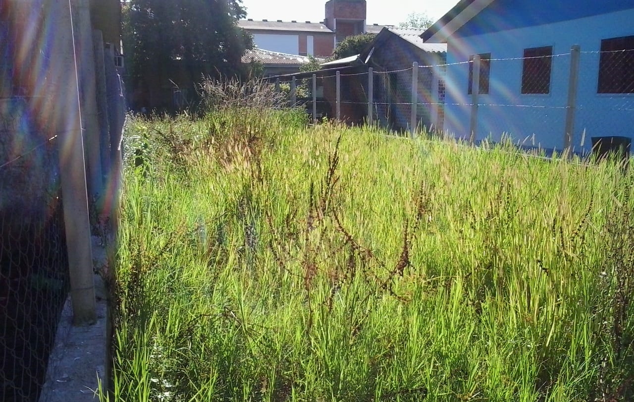 30/11/2018 -  Vereador Nor Boeno solicita capina e roçada na escola Irmã Valéria