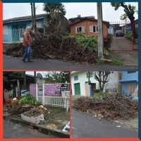 31/05/2019 - Vereador Nor Boeno solicita recolhimento de galhos e entulhos em Canudos 