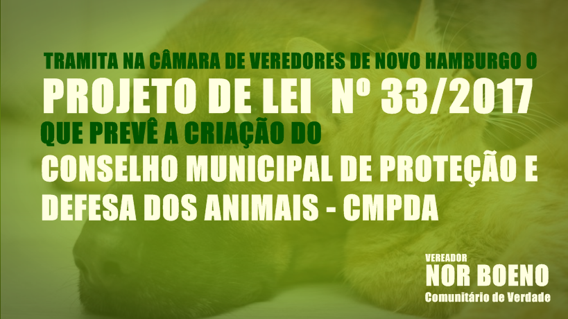 Gabinete: Nor Boeno cria PL que institui o Conselho Municipal de Proteção e Defesa dos Animais no Município