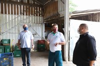13/05/2020 - Junto a comissões, vereador Fernando Lourenço visita cooperativa de agricultura familiar